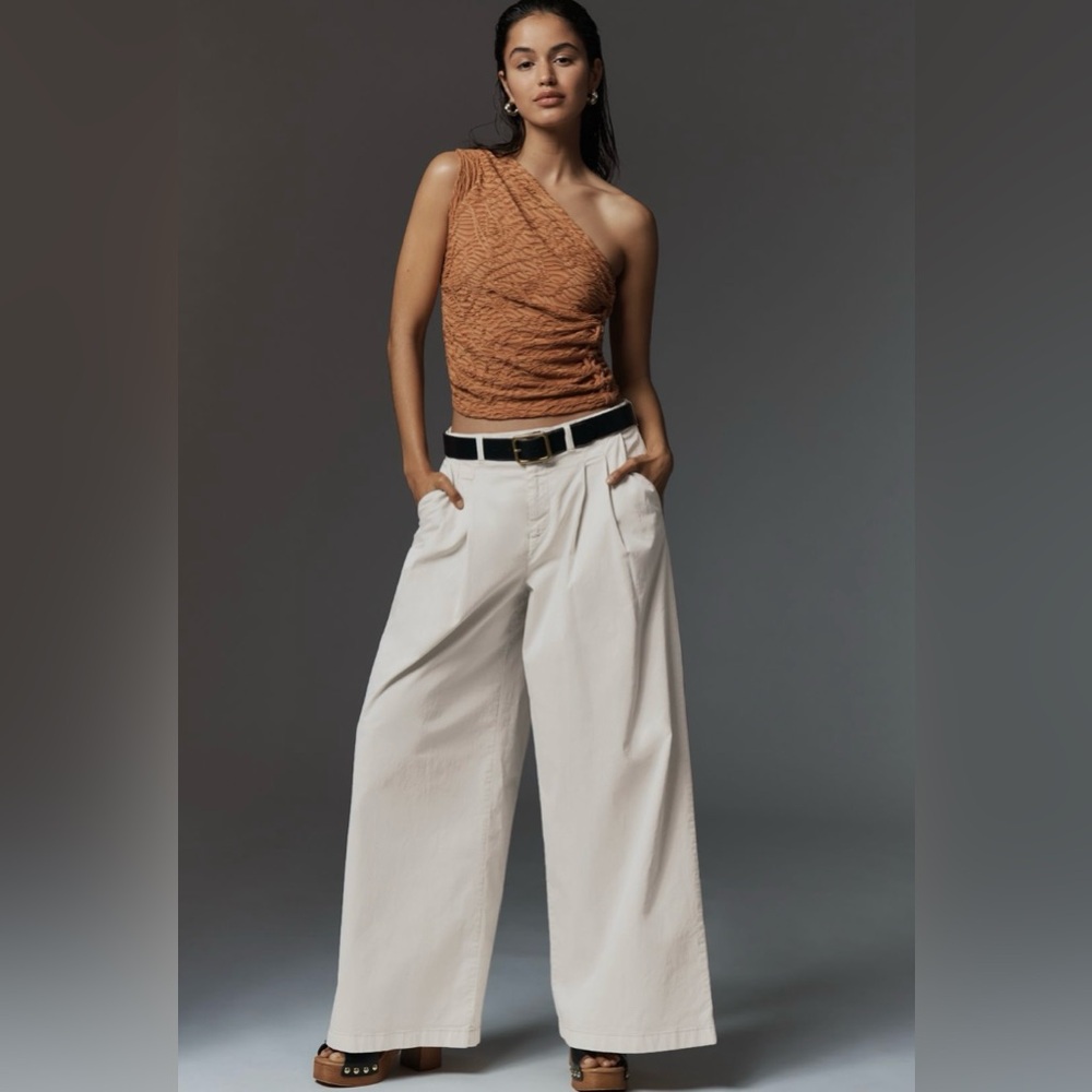 Anthropologie Low Rise Pleated Wide Leg Trousers In: Vaporous Gray - Picture 1 of 7